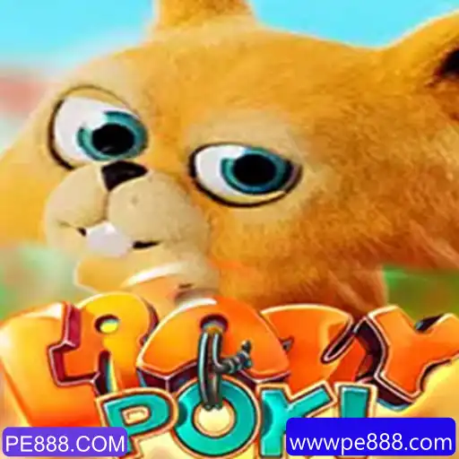 Explorando o Mundo de CrazyPoki: Regras e Estratégias